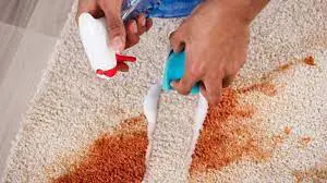 Halı ve Yün Şampuanı